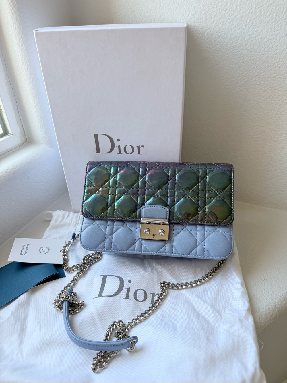 ⭐️Dior Quilted Two-Tone Leather Shoulder Bag in Iridescent Green and Light Blue